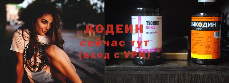 Кодеиновый сироп Lean напиток Lean (лин)  магазин продажи наркотиков  Приморск 